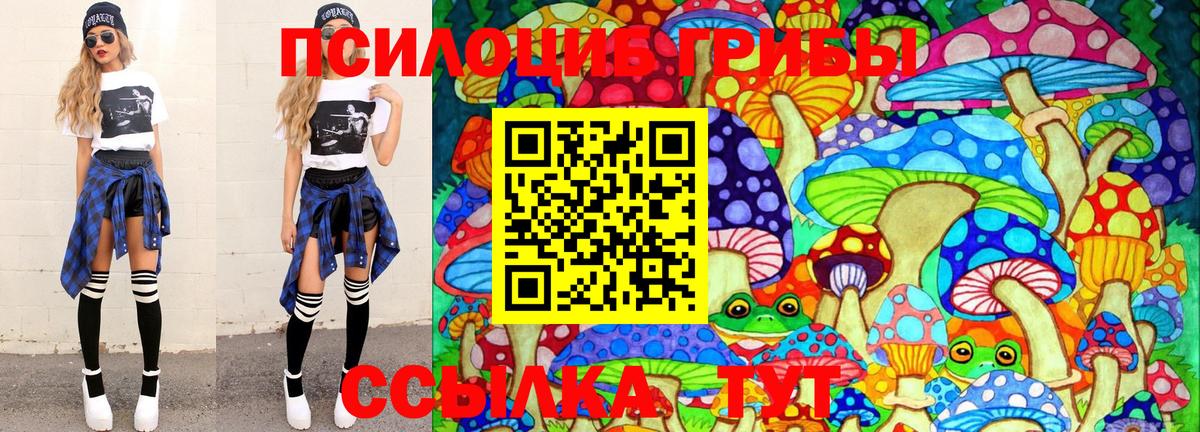 Псилоцибиновые грибы мицелий Спасск-Дальний