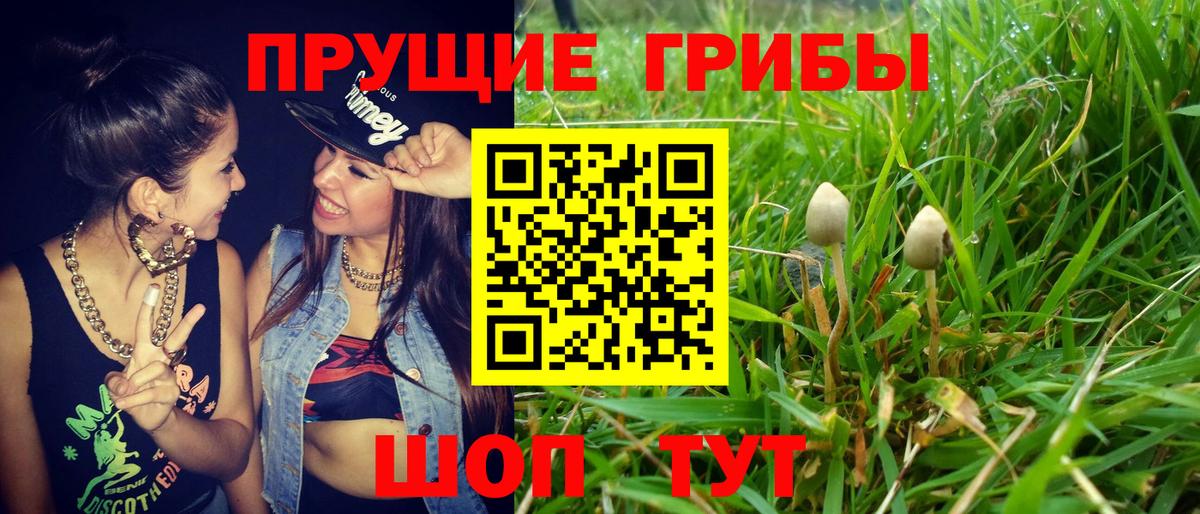 Псилоцибиновые грибы мухоморы  Вход с VPN  Спасск-Дальний 